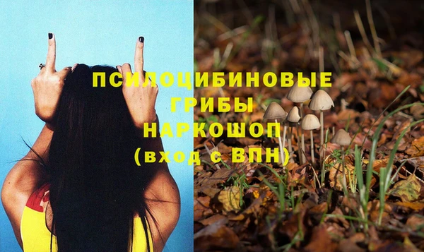 mdpv Гусь-Хрустальный
