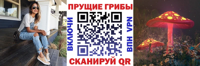 Галлюциногенные грибы ЛСД  наркота  МЕГА ТОР  Безенчук 